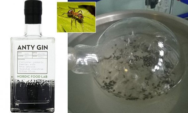 发现蚂蚁自我保护会喷出甲酸，于是人类拿蚂蚁来酿酒