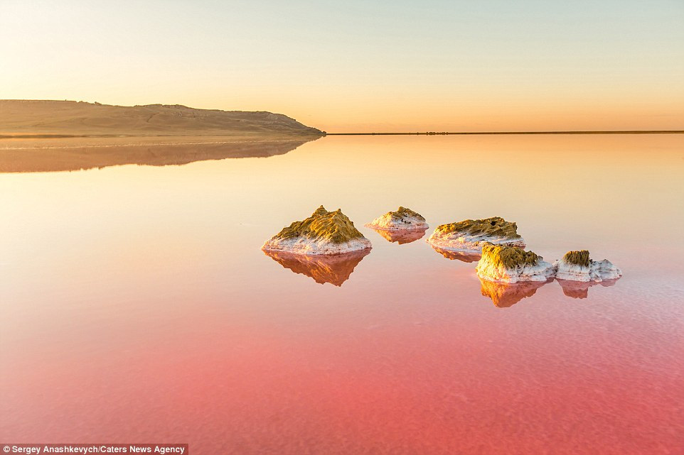 梦幻般的粉红色盐湖